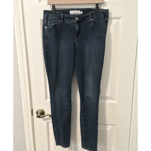 Torrid Medium Blue Skinny Jeans Size 12